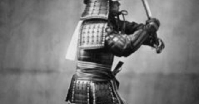 How Can We "Bulletproof" Our Tendons? image