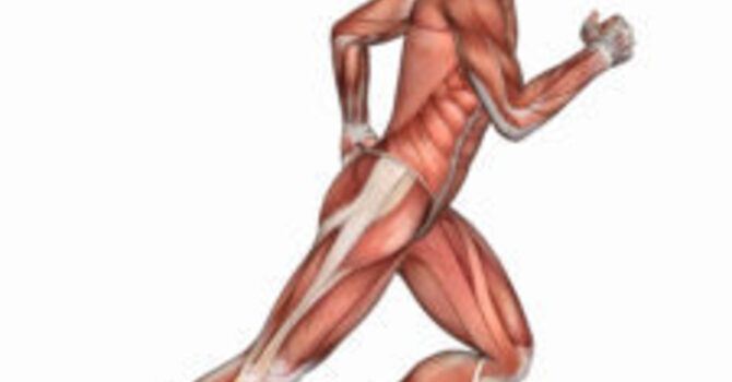 Learn About Your Body Type image